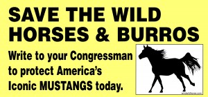 Here is a bumper sticker I made for anyone to use to Save the Wild Horses & Burros. please share. print at your local printer onto a magnetic paper and share file and bumper stickers with your friends.